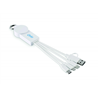 Kabel do ładowania 2 w 1 typ C ICAB
