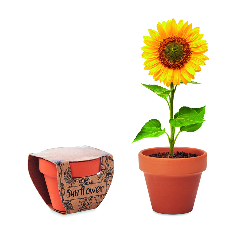 Doniczka, słonecznik SUNFLOWER