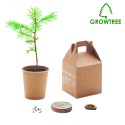 Nasiona sosny, torf, doniczka GROWTREE™