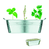 Cynkowa wanienka z nasionami MIX SEEDS
