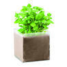 Zestaw do uprawy "Bazylia" BASIL